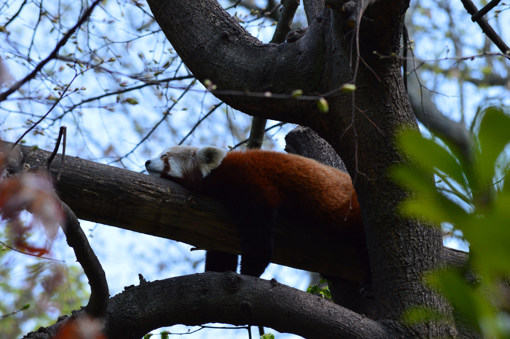 Sommer im Leipziger Zoo