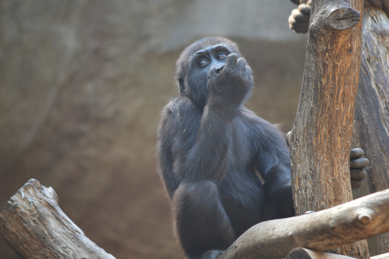 Sommer im Leipziger Zoo