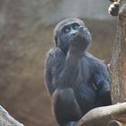 Sommer im Leipziger Zoo