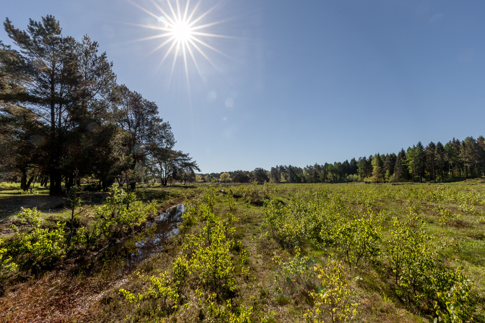 sommer im mai