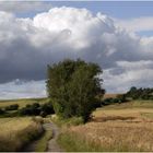 Sommer im Maifeld