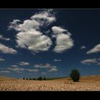 Sommer im Main-Kinzig-Kreis