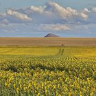 Sommer im Mansfelder Land