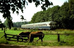 Sommer im Münsterland