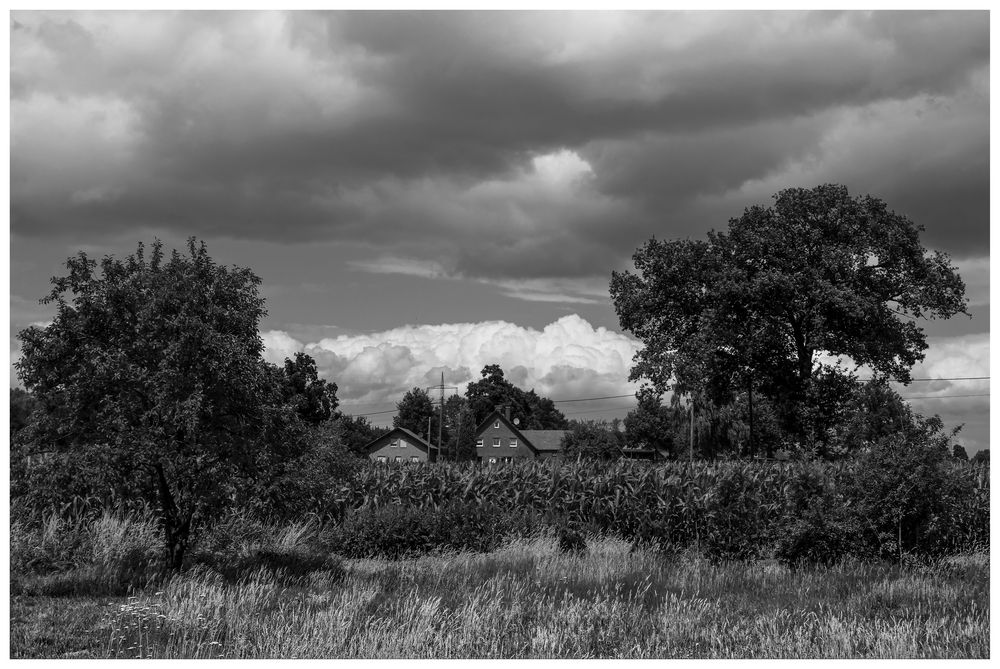 Sommer im Münsterland II