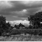 Sommer im Münsterland II