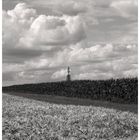 Sommer im Münsterland III