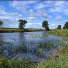 Sommer im Norden