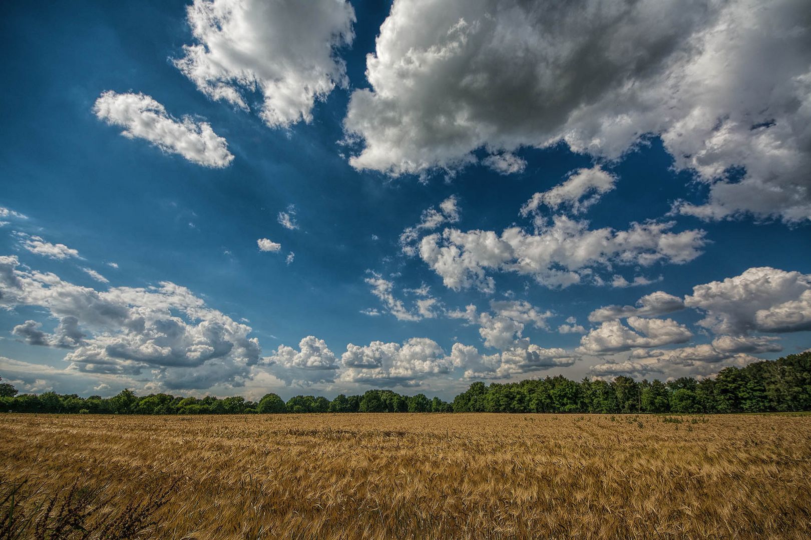 Sommer im Norden