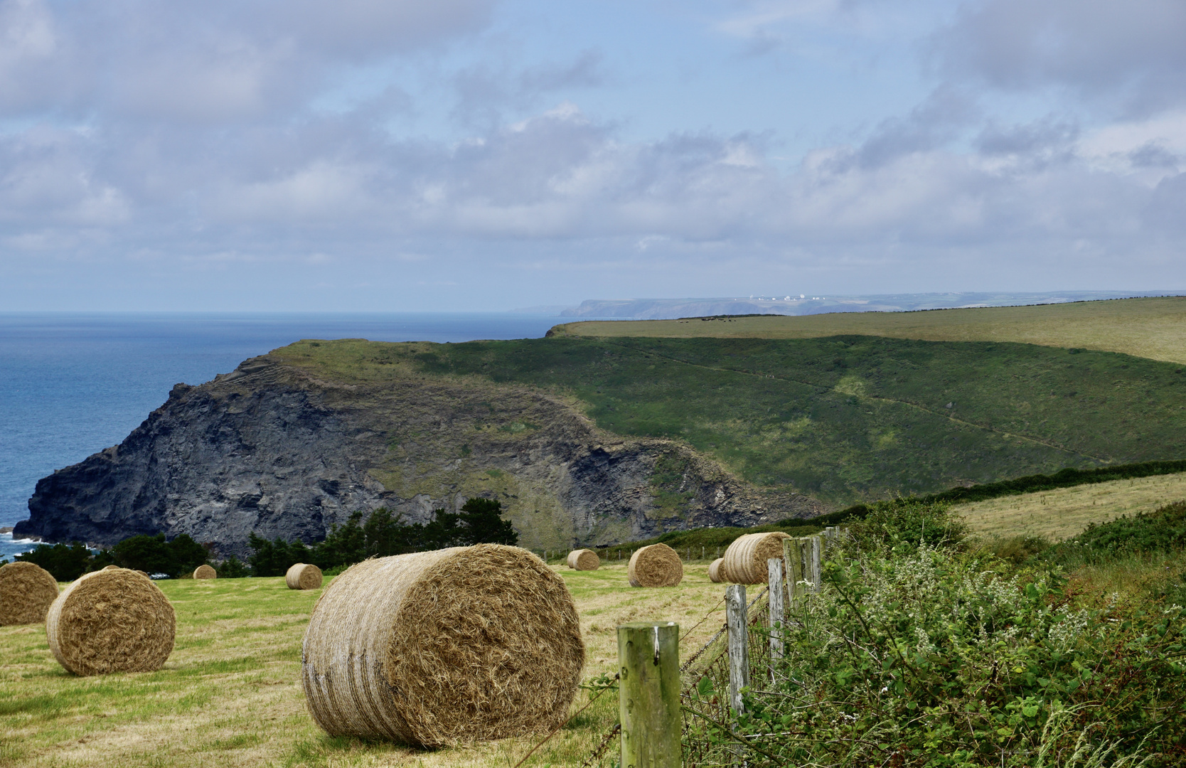 Sommer im Norden Cornwalls / Steilküste bei Bude