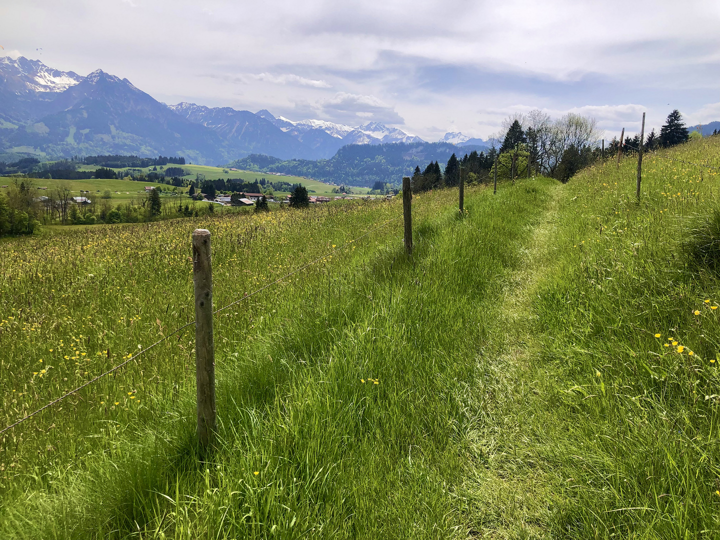 Sommer im Oberallgäu