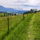 Sommer im Oberallgäu