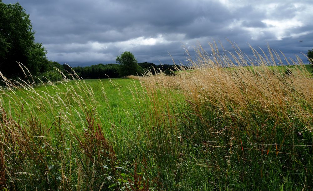 Sommer im Oberbergischen .... 