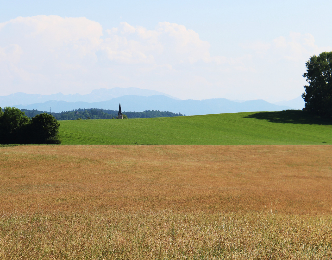 Sommer im Oberland