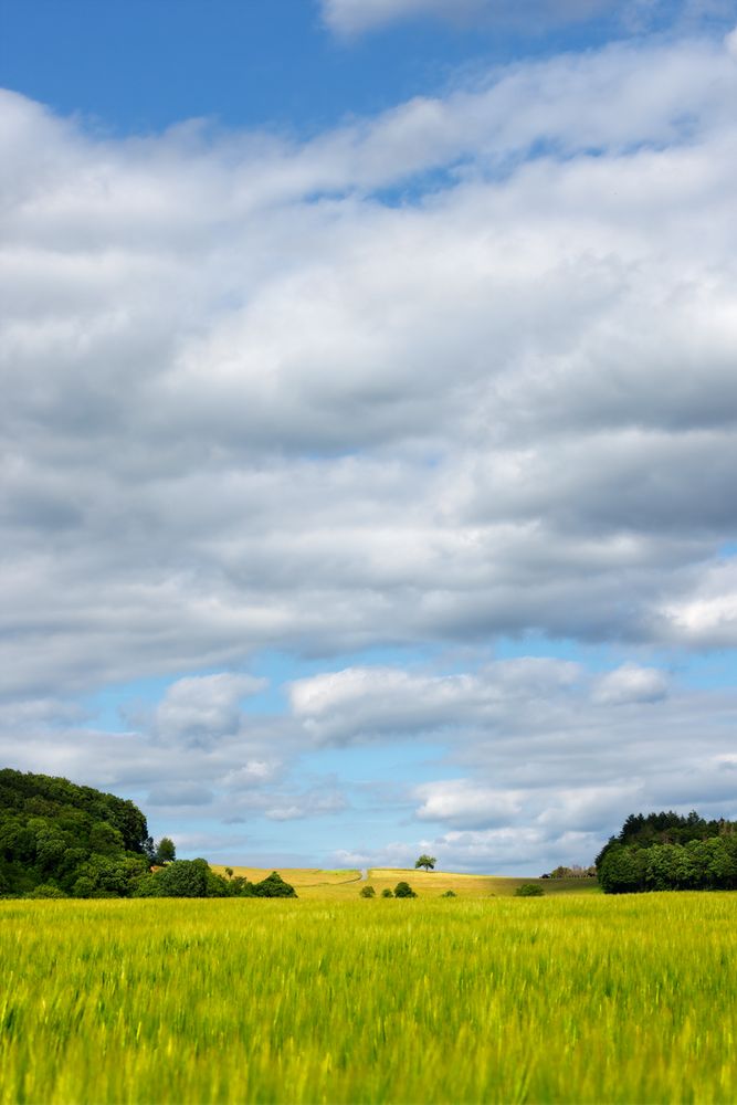 Sommer im Odenwald