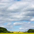 Sommer im Odenwald