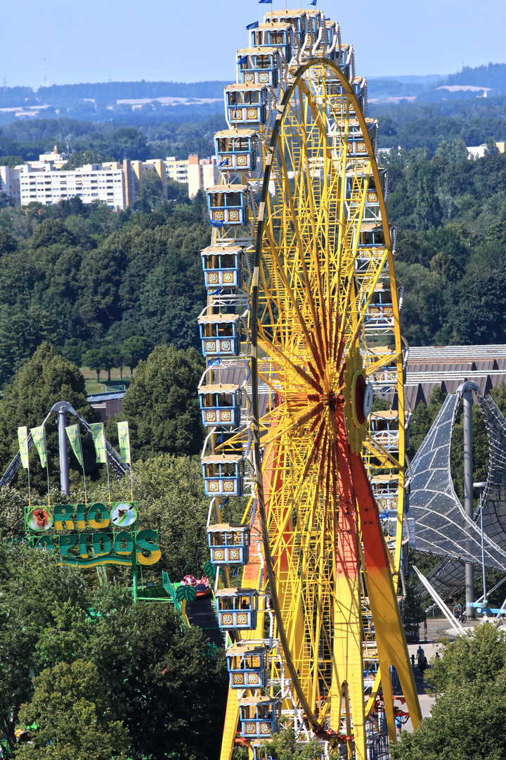 Sommer im Olympiagelände 2