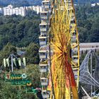 Sommer im Olympiagelände 2