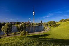 Sommer im Olympiapark