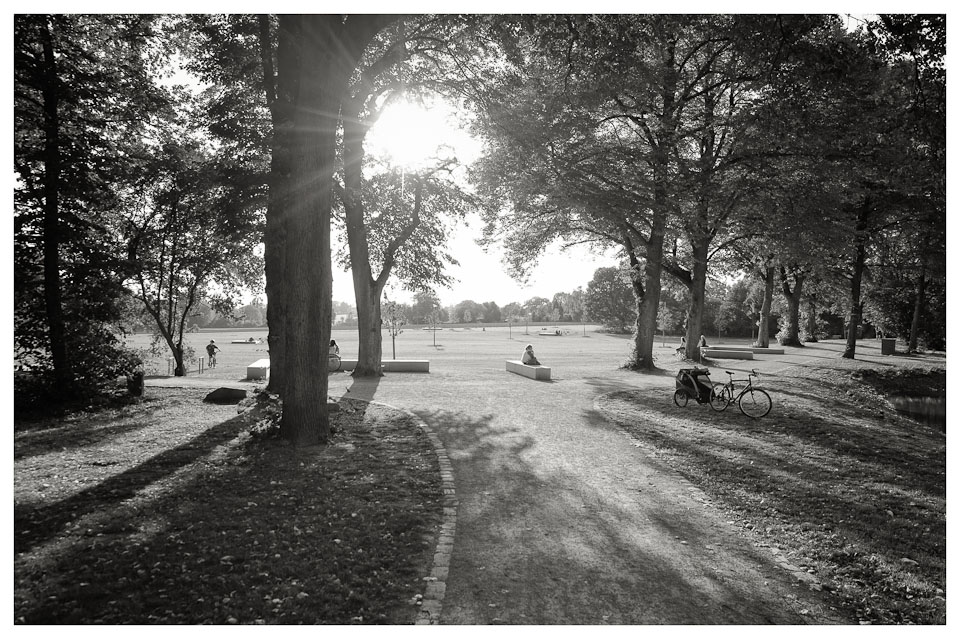 Sommer im Park