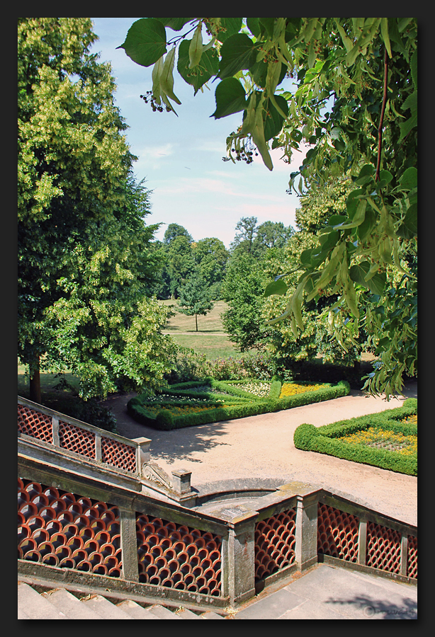 Sommer im Park ***