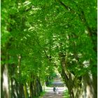 Sommer im Park