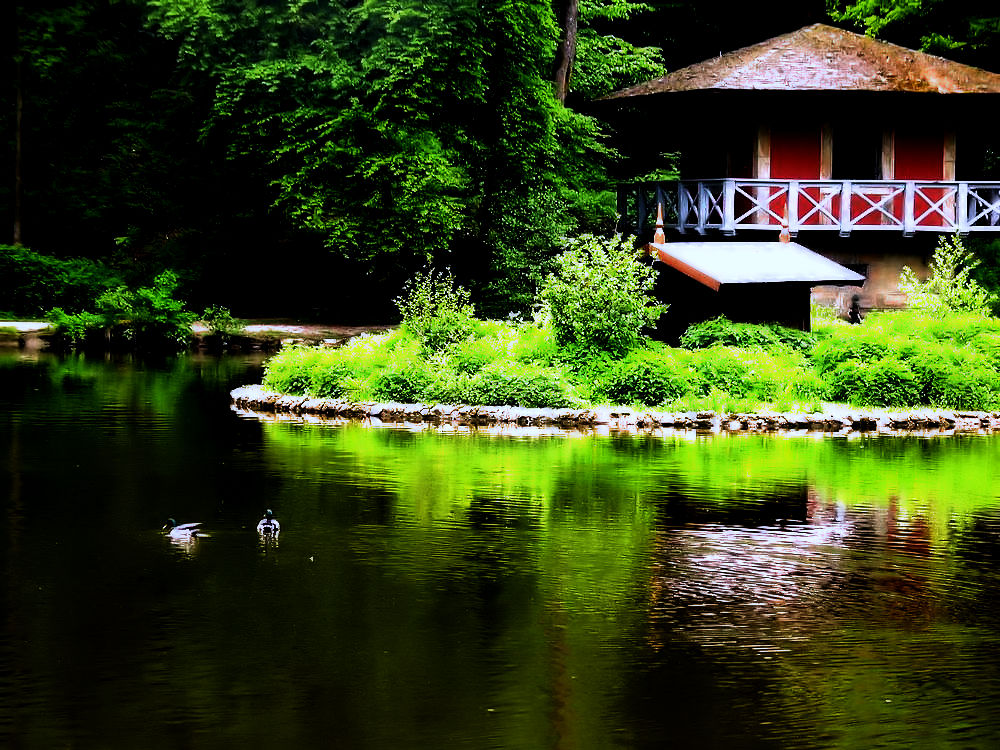 Sommer im Park