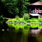 Sommer im Park