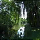 Sommer im Park