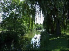 Sommer im Park