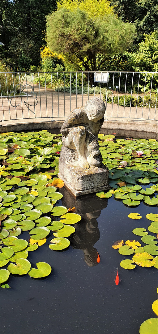 Sommer im Park