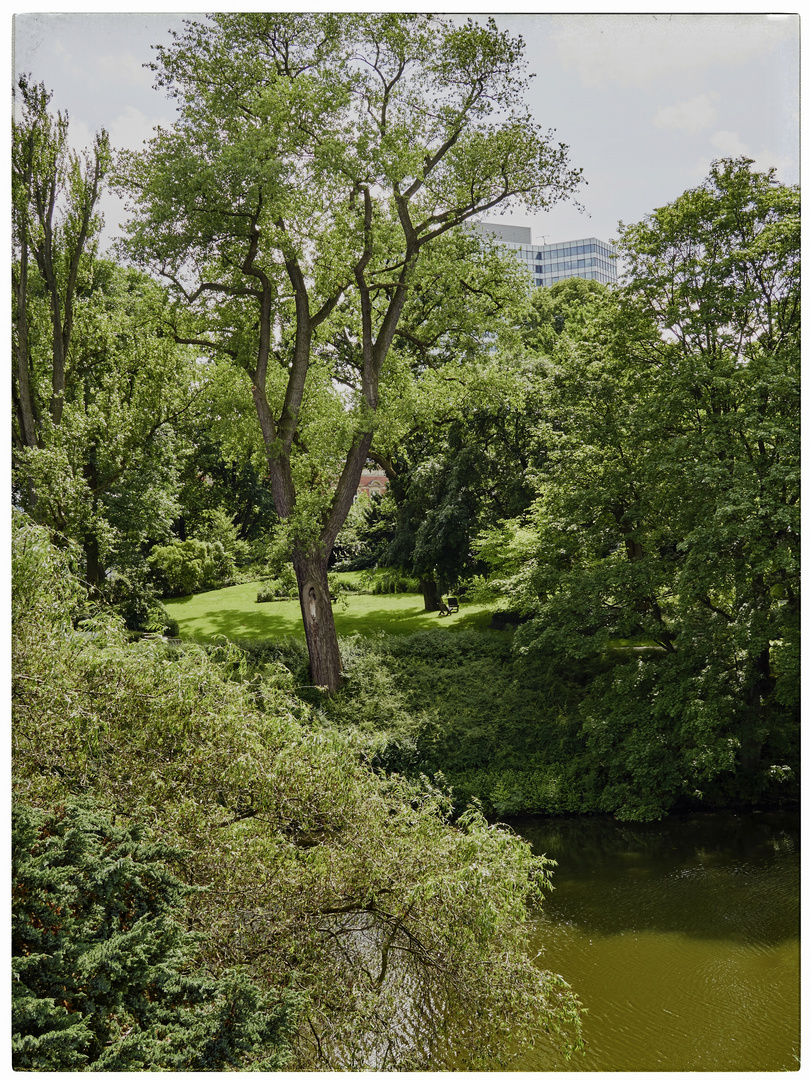 Sommer im Park