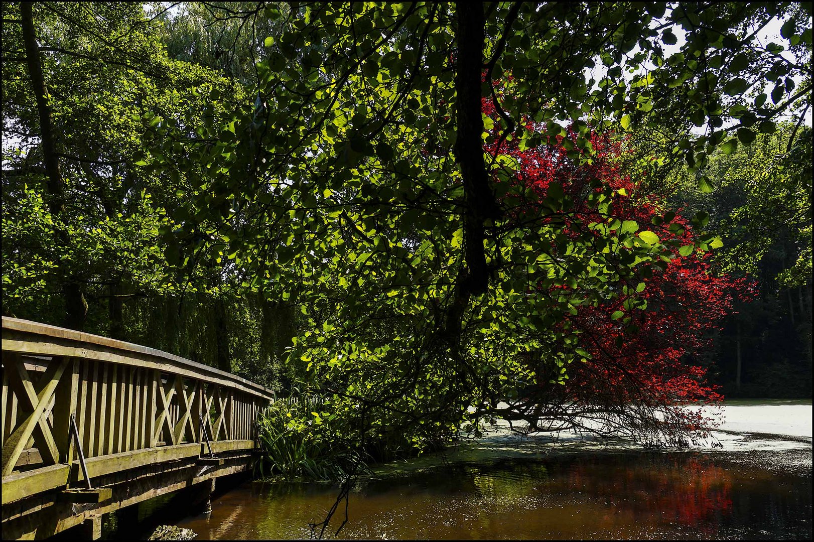 Sommer im Park