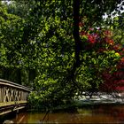 Sommer im Park