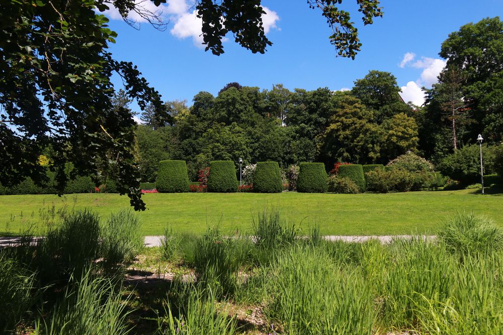 Sommer im Park