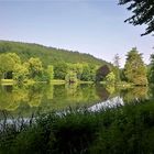 Sommer im Park