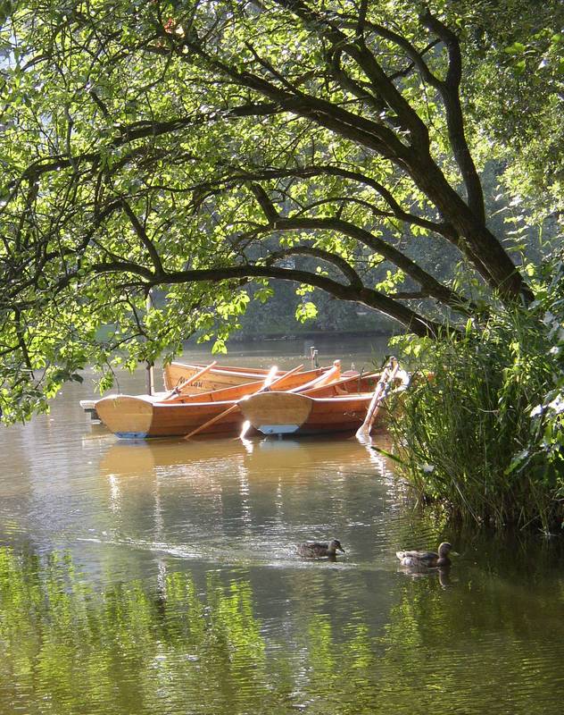 Sommer im Park