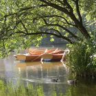 Sommer im Park