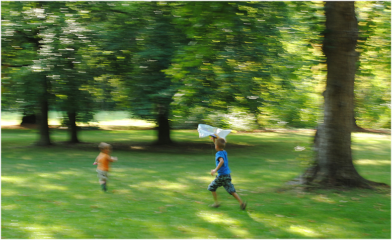 Sommer im Park