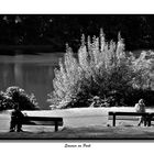 Sommer im Park