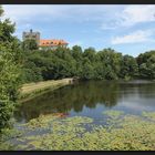 Sommer im Park **