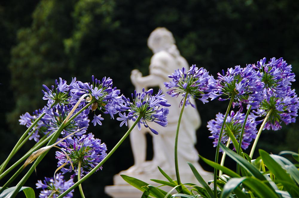 Sommer im Park - Schloss Benrath