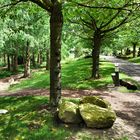 Sommer im Park von Mondo Verde/Landgraaf/Niederlande