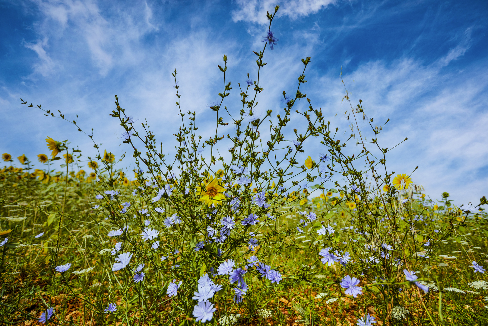 Sommer im Périgord 01