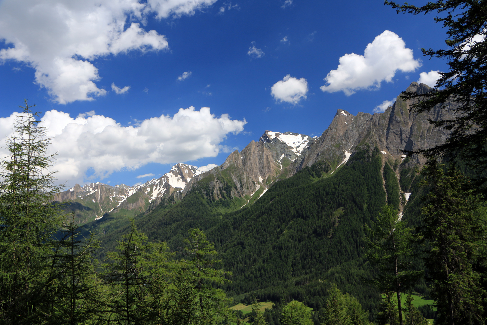 Sommer im Pfitschtal