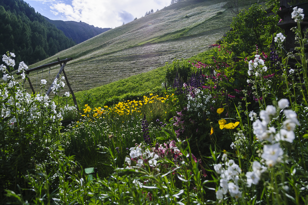 Sommer im Pfossental