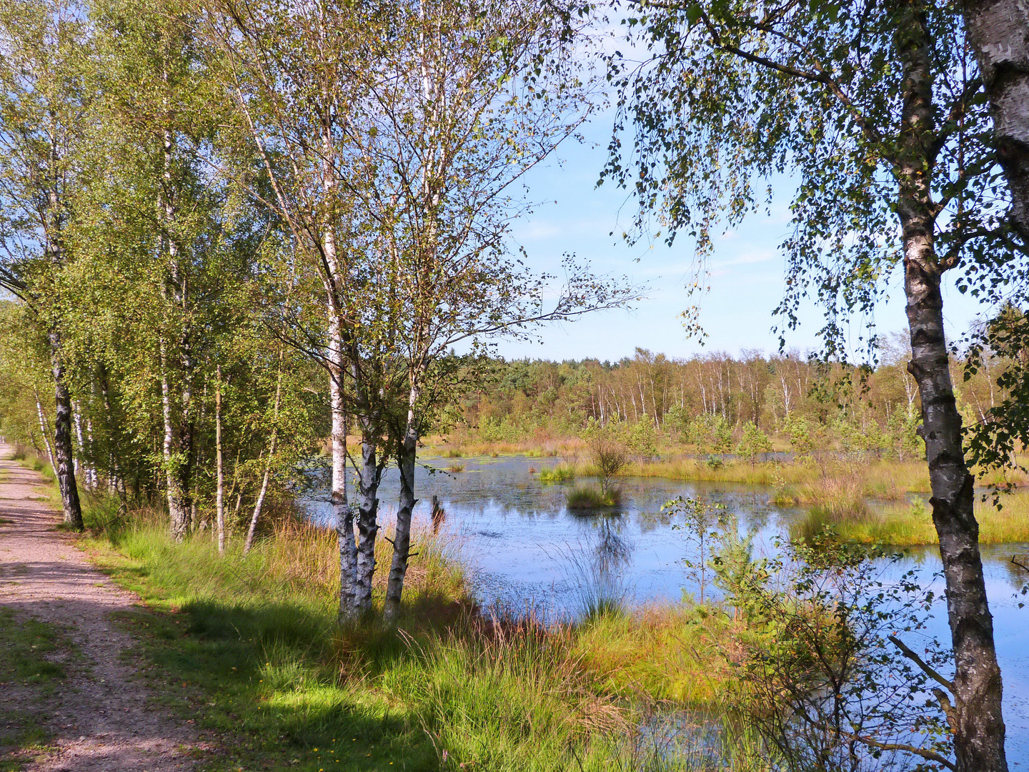 Sommer im Pietzmoor