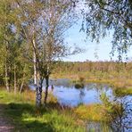 Sommer im Pietzmoor