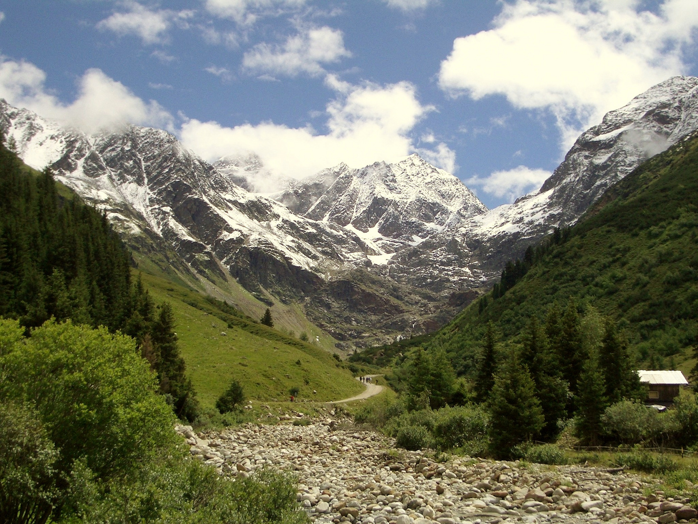 Sommer im Pitztal.....