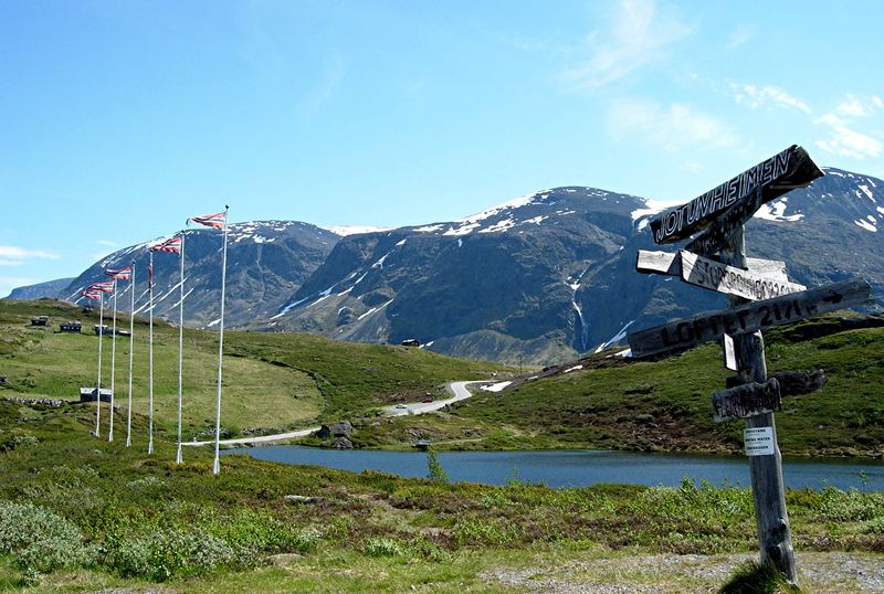 Sommer im Reich der Riesen